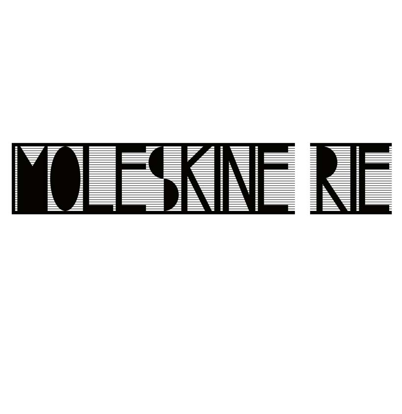 moleskine rie