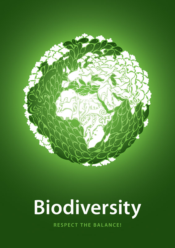 biodiversity: respect the balance!