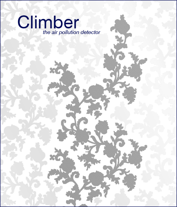 climber