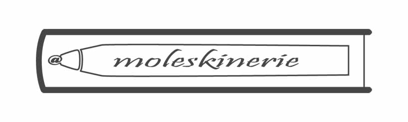 First logo design for Moleskinerie