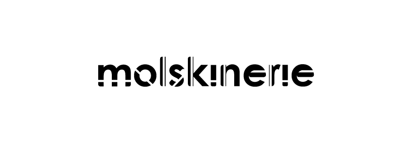 2D Molskinerie