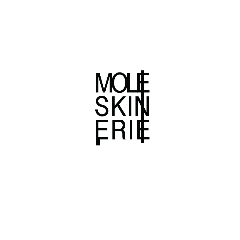 moleskinerie