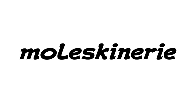 moleskinerie script