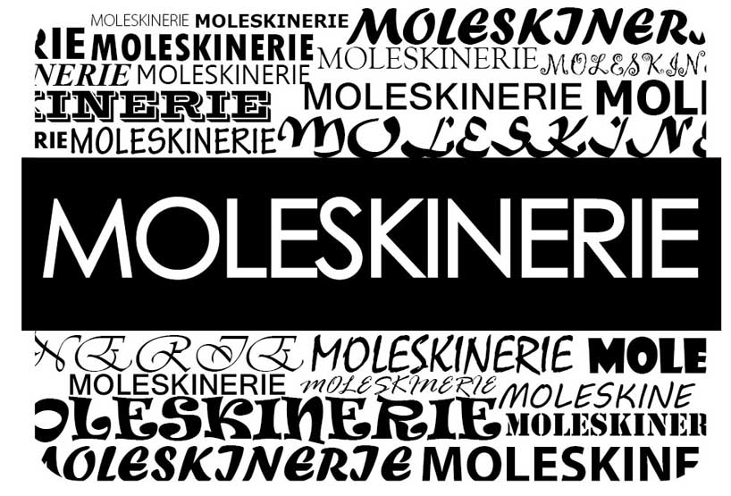 A lot of Moleskinerie