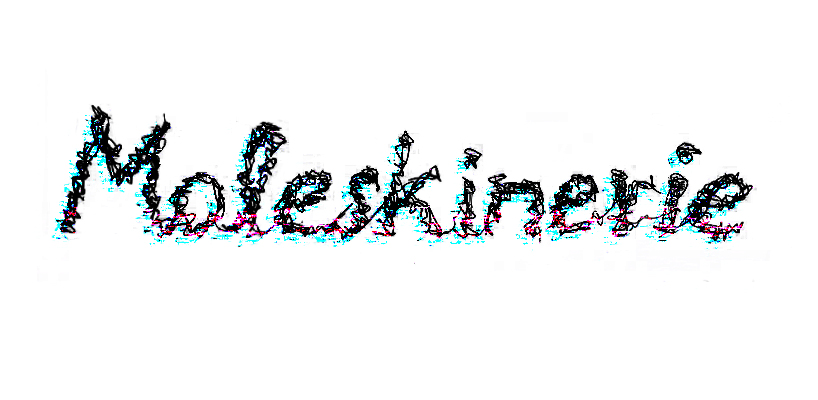 moleskinerie logo