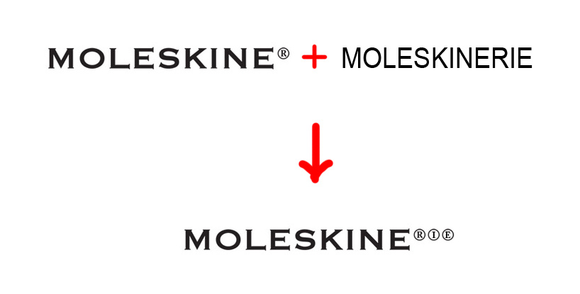 MOLESKINErie