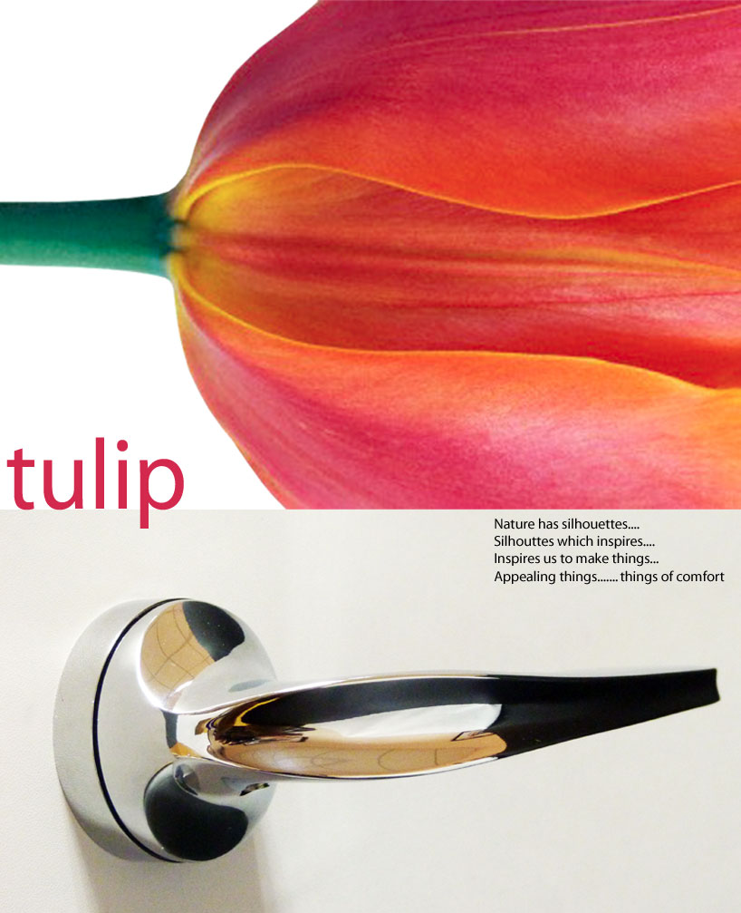 TULIP