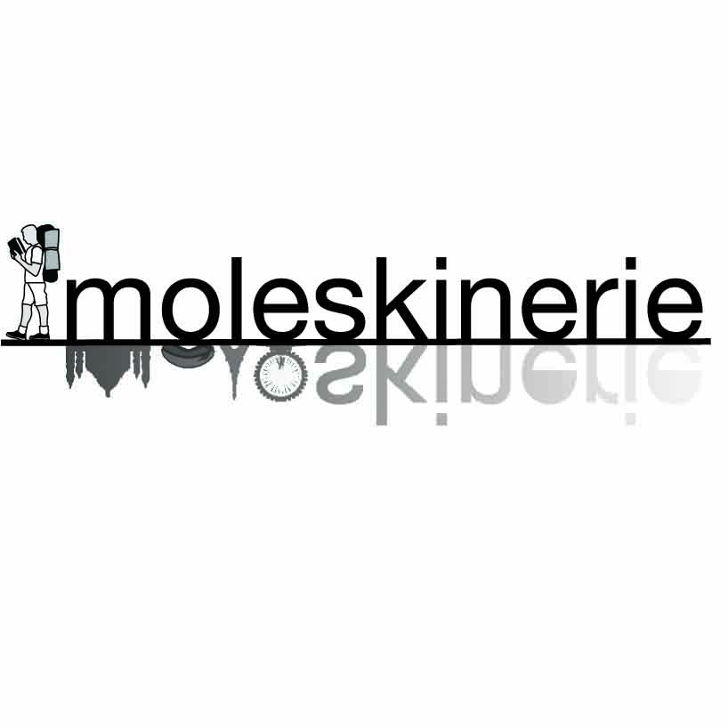 Moleskinrie reflection logo