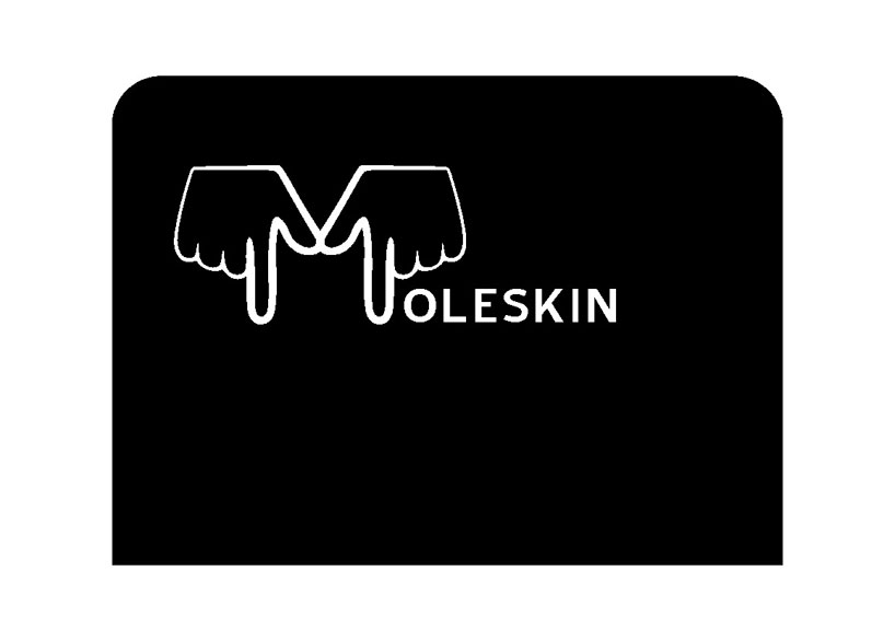 design for moleskin logo