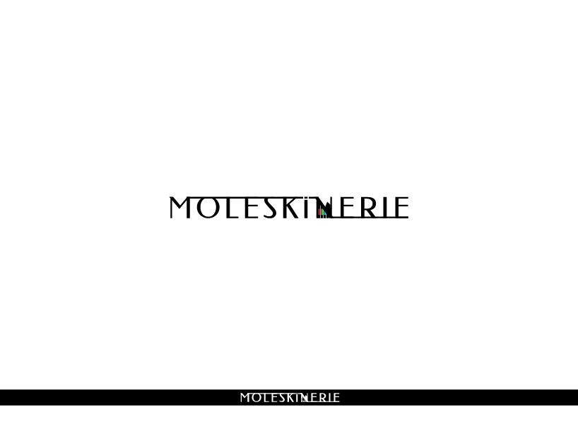 moleskinerie