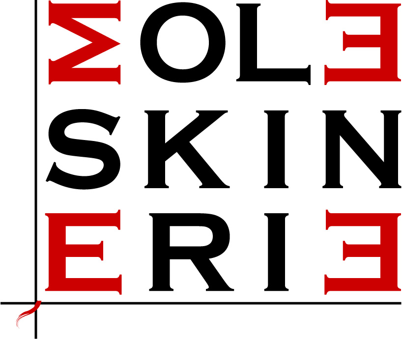 moleskinerie's logo   monitor