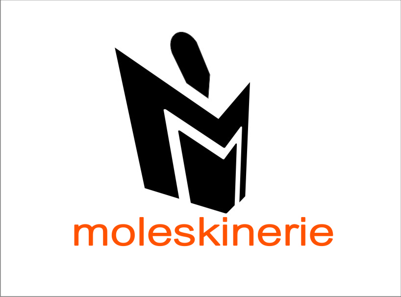 moleskinerie