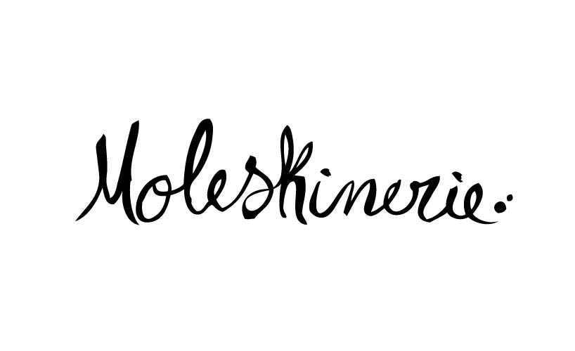 moleskinerie logo   joanahunter