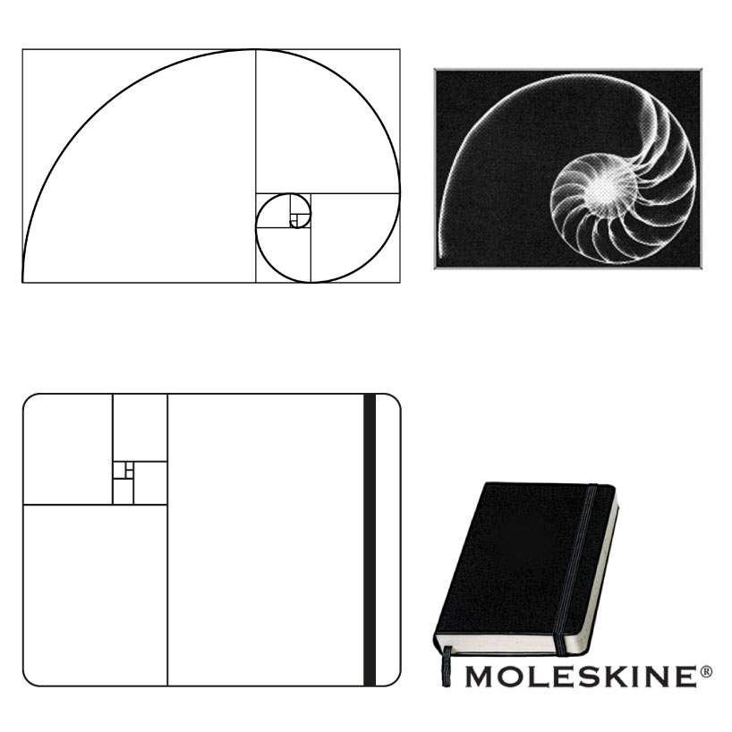 Moleskine Ratio