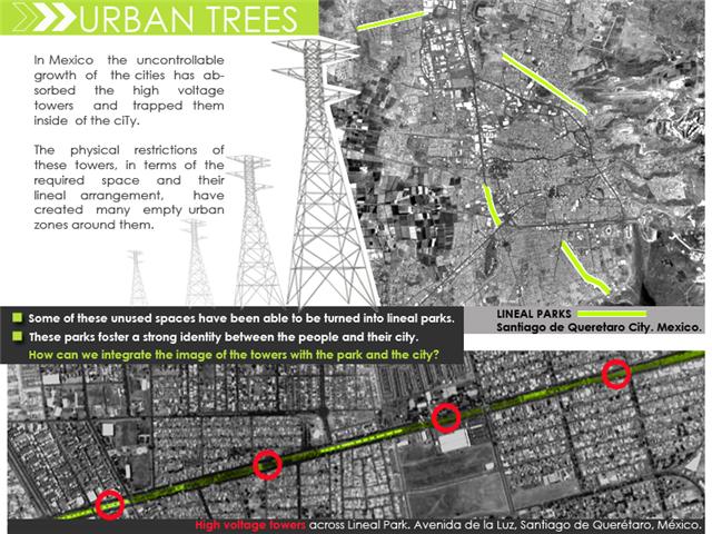 urban trees