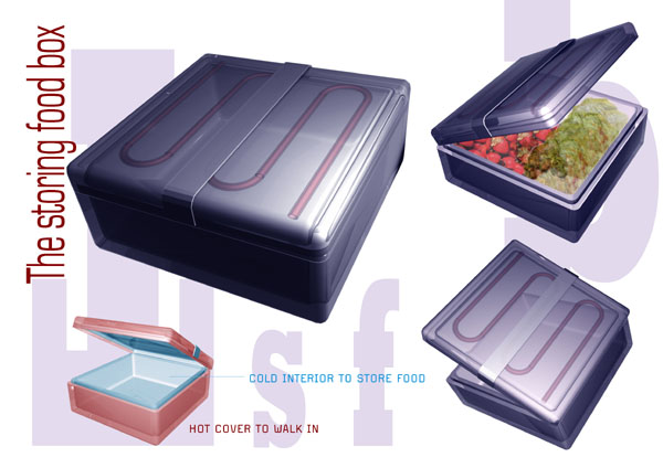 The Storing Food Box