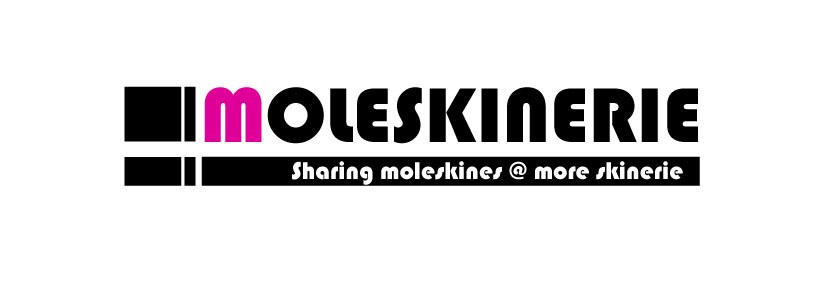 moleskinerie