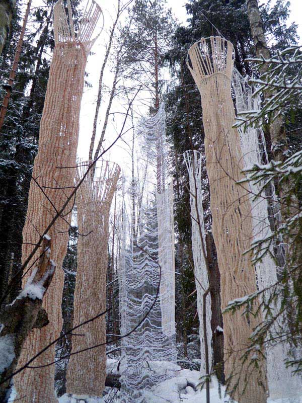 winter forest