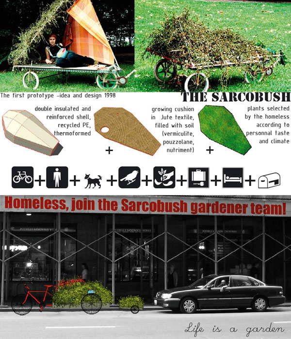 sarcobush for freestanding landscaper