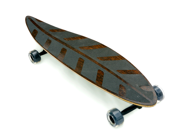 skateboard folha seca