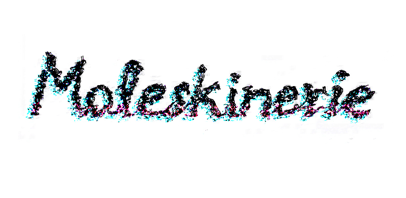 moleskinerie logo