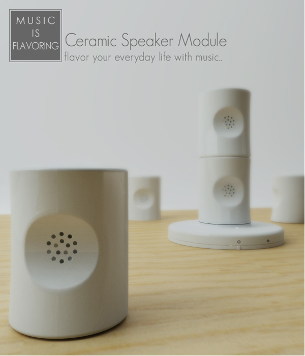 ceramic speaker module
