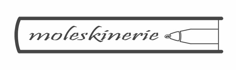 Second logo design for Moleskinerie