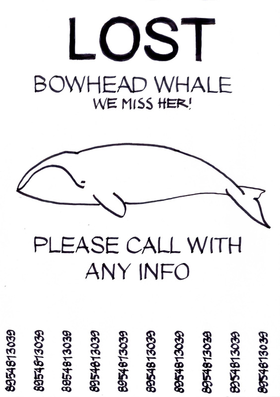 i lost my whale!