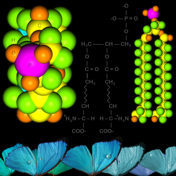 hydrophobic nanotiles