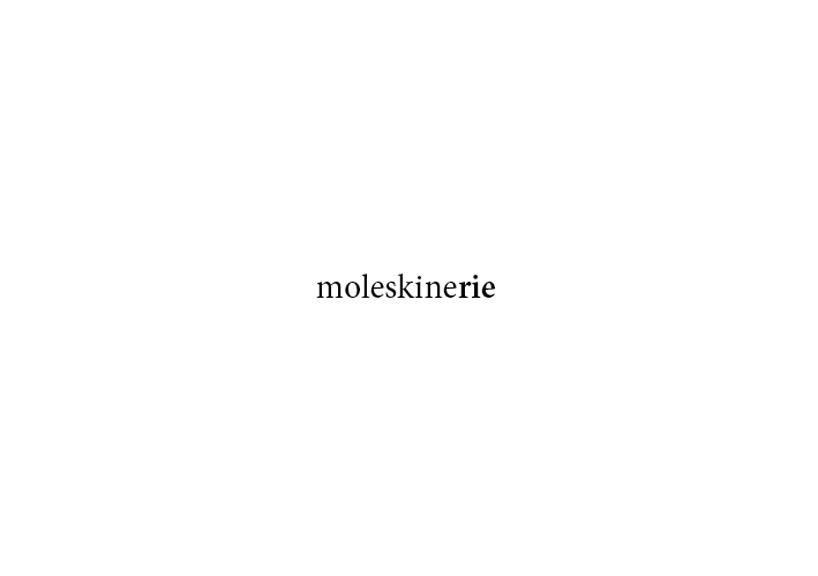 Moleskinerie Logo Entry 2