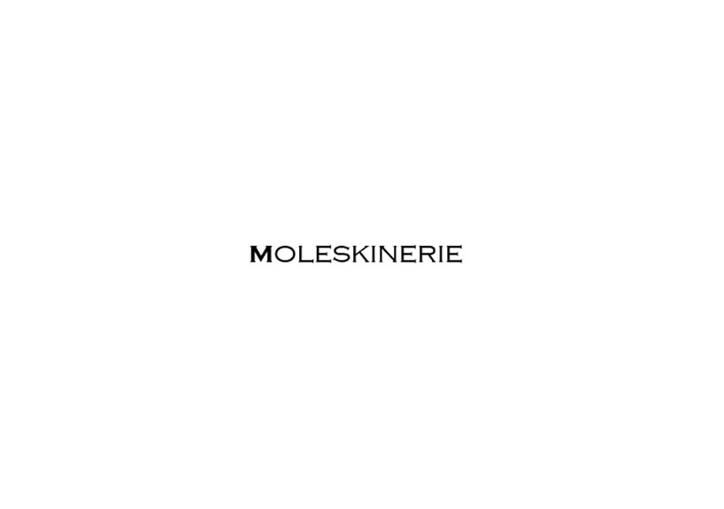 Moleskinerie Logo Entry 3