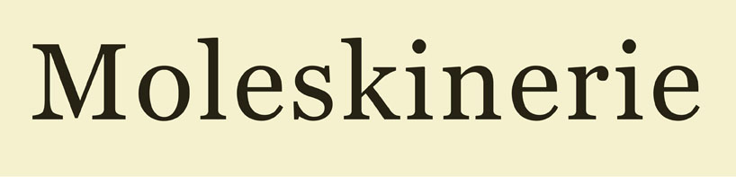 Logo Moleskinerie by Gabriel Ferraciolli