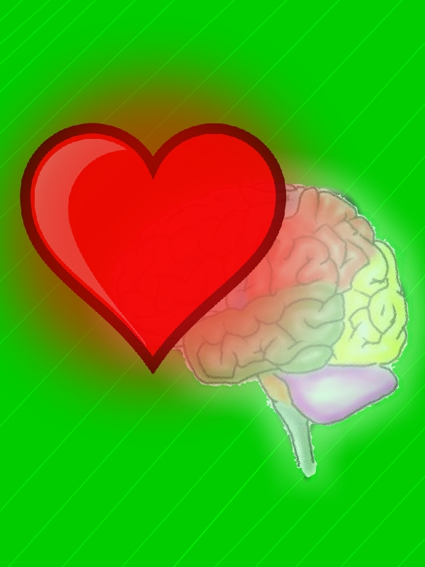 love and brain