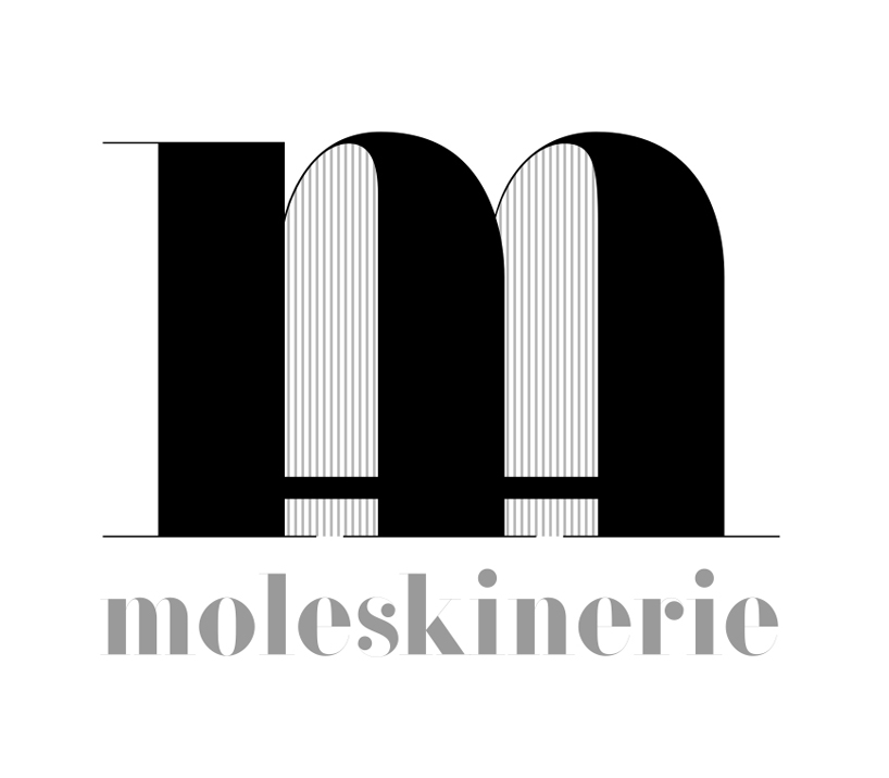 moleskinself