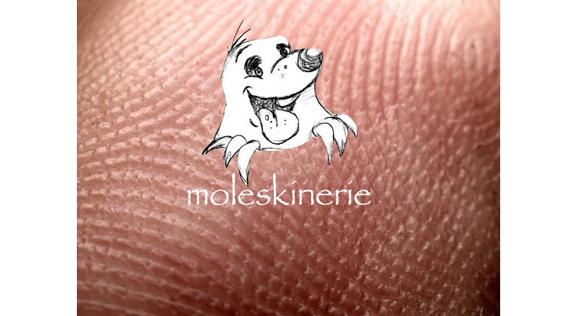 moleskinerie