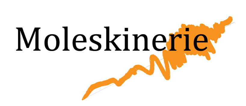 Moleskinerie Logo Design 1