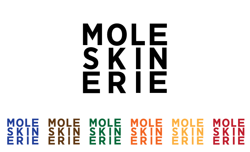 MOLESKINERIE SQUARED