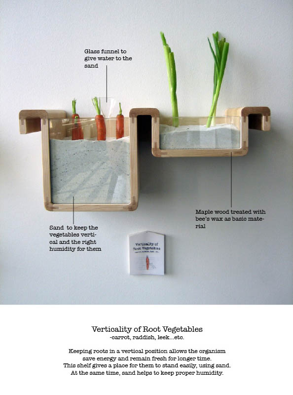 shaping traditional oral knowledge save food from the refrigerator