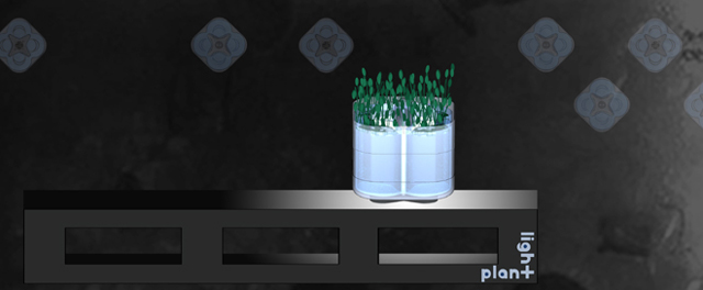 plant light