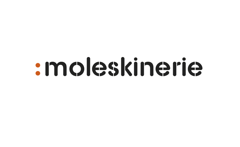 blogging with moleskinerie