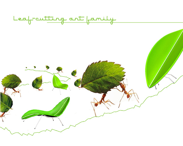 leaf cutting ant family