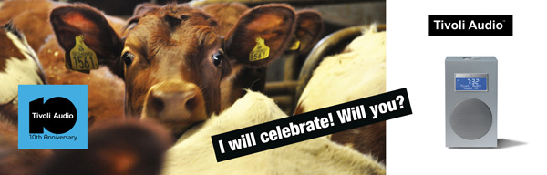 Cow Celebration