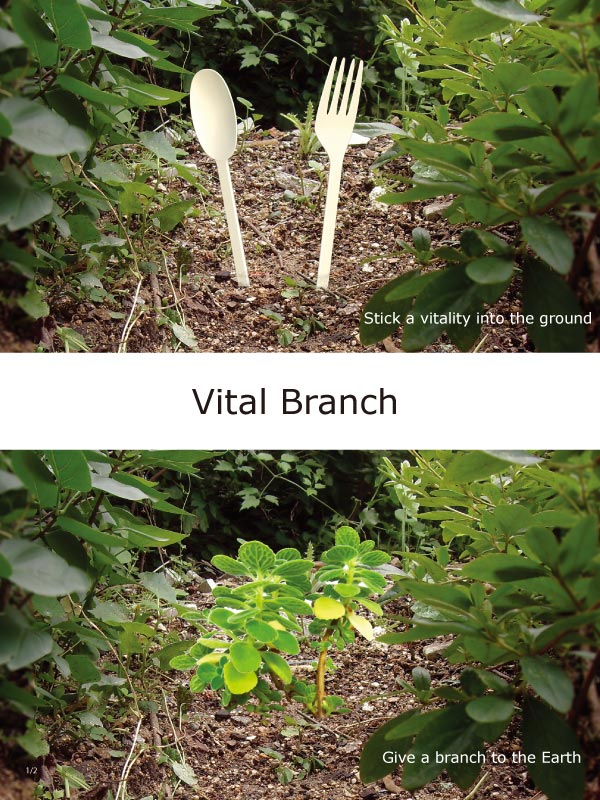 vital branch