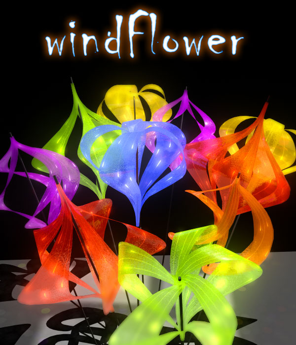 windflower