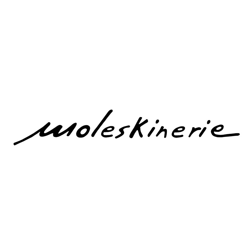 Writing moleskinerie