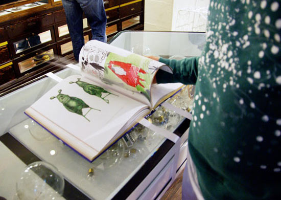 new york design week 2008: arrojadoa exhibit at the diesel denim gallery