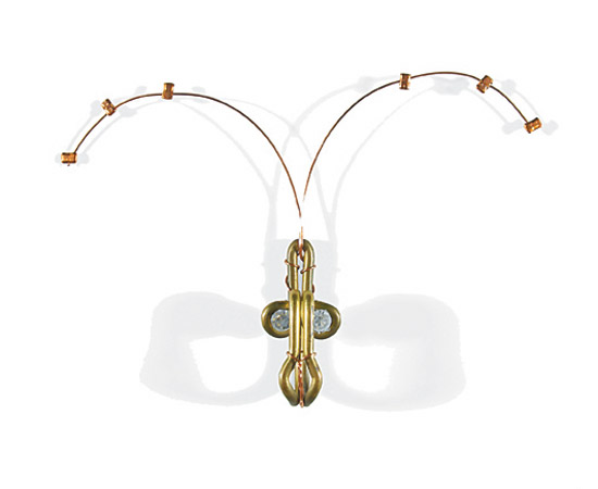 'dysfunctional community' by sarah colson