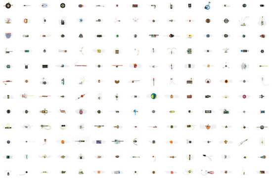 'dysfunctional community' by sarah colson