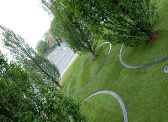 diller scofidio + renfro's joyful trees