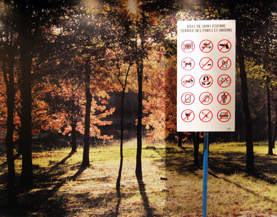 saint etienne biennale 08: garth walker at '2036'